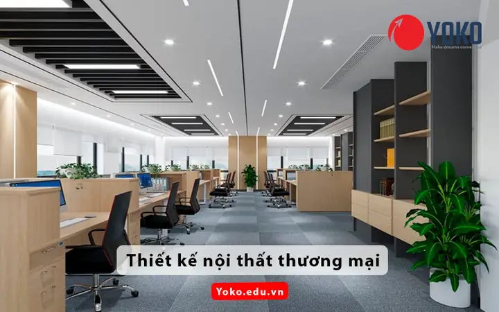 Các Chuyên Ngành Chính