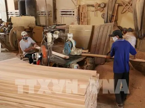 Ngành Gỗ Việt Nam: Chưa Khai Thác Hết Thị Trường Nội Địa Ngành Gỗ Việt Nam: Chưa Khai Thác Hết Thị Trường Nội Địa