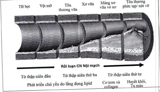 Hội Thảo Trang Trí Nội Thất 2019 Hội Thảo Trang Trí Nội Thất 2019