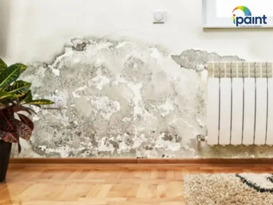 Hướng Dẫn Thi Công Sơn Nội Thất Bề Mặt Bóng Cao Cấp Chuyên Dụng Miền Biển Noah