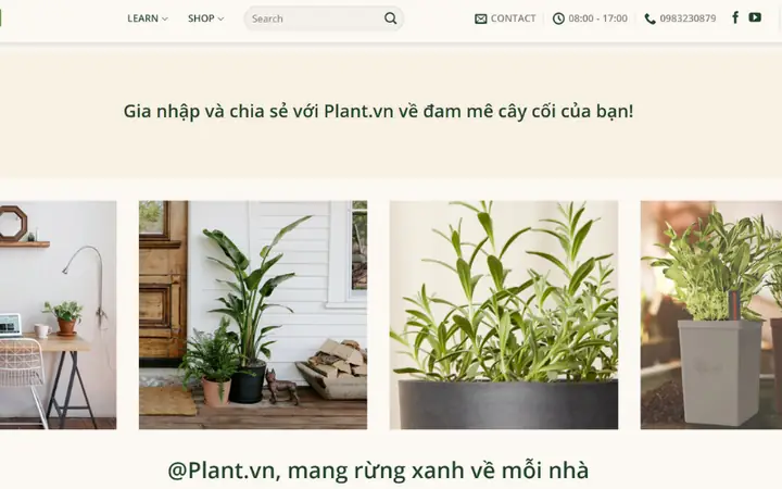 Cửa Hàngplant.vnbán Đa Dạng Các Chậu Trồng Cây Nội Thất