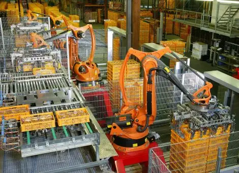 Robot Palletizing – Bốc Xếp Hàng Hóa