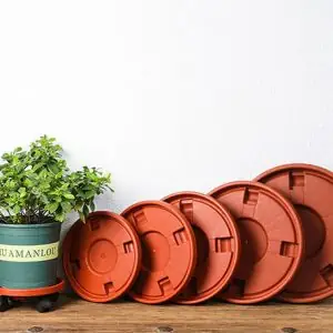 Khay Kệ Đế Lót Để Chậu Cây Có Bánh Xe Bằng Nhựa Kgtn 011ktt047