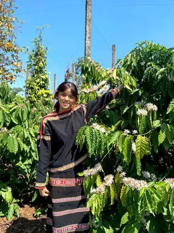 Tầm Quan Trọng Của Luận Văn Tốt Nghiệp Trong Ngành Thiết Kế Nội Thất