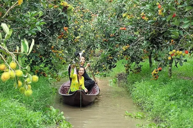 Khách Sạn Nội Thất Trẻ Mỹ Tho