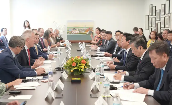 Khởi Nghiệp Nội Thất Voz: Kinh Nghiệm Đắt Giá Từ Cộng Đồng
