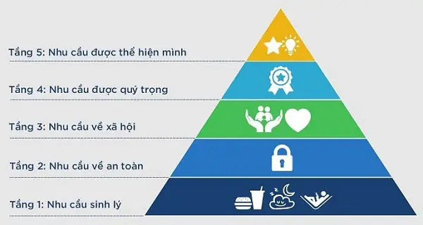 Tầm Nhìn Cho Việc Kinh Doanh Nội Thất Đồ Chơi Ô Tô