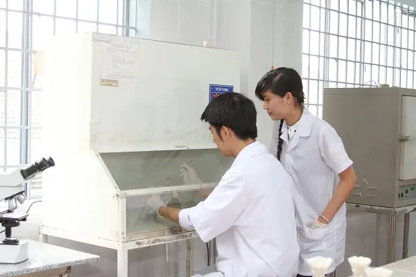 Kỹ Sư Vật Liệu Silicat Trang Trí Nội Thất