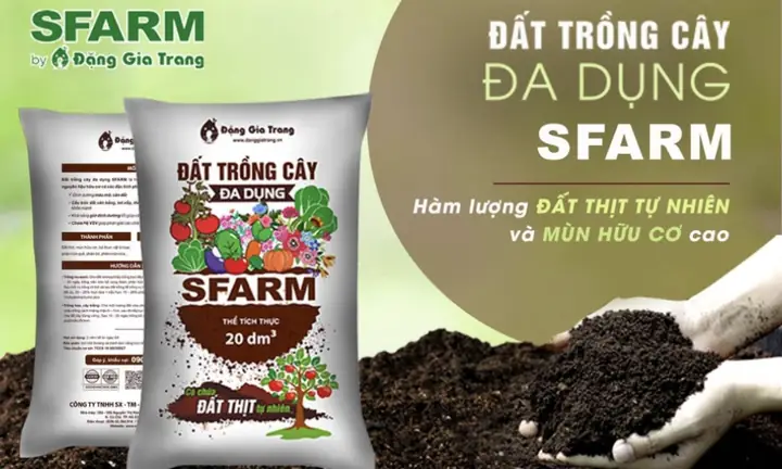 Chuẩn Bị Đất Tốt
