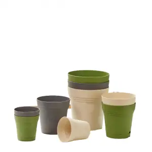 Chậu Nhựa Trồng Cây 2 Đáy