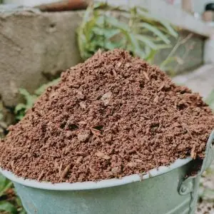 Đất Đỏ Bazan Tropical Trồng Cây