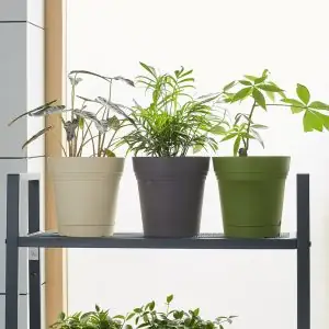 Chậu Nhựa Trồng Cây Py 2 Đáy