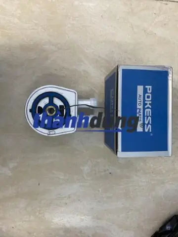 Nội Thất Ford Escape 2002 Xuống Cấp: Làm Lại Thế Nào Hiệu Quả?