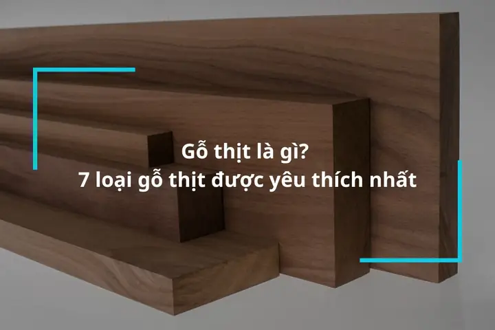 Go Thit La Gi