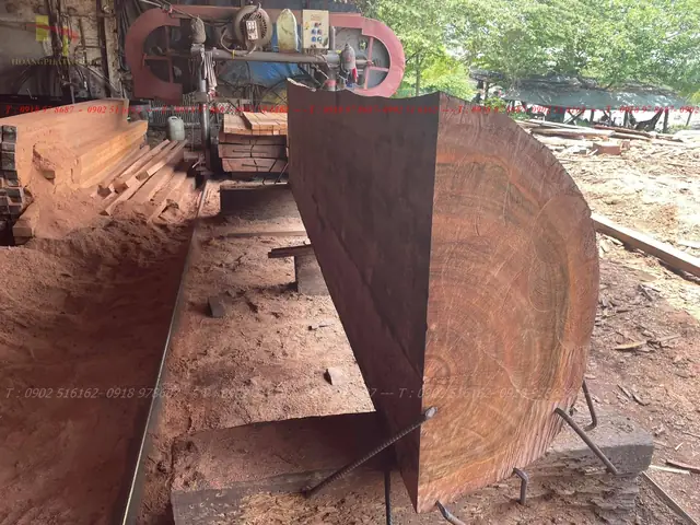 Gỗ Dầu Làm Sàn Xe Tải, Sàn Xe Container
