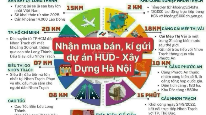 Nội Thất Kiều Việt Lô A23 Quy Nhơn Bình Định: Đánh Giá Chi Tiết