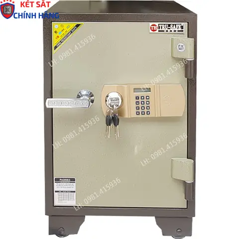 Két Sắt Trusafe Th100dt