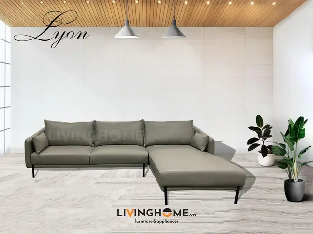 Thiết Kế Hiện Đại Và Tinh Tế