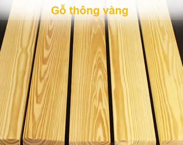 Gỗ Thông Vàng Gỗ Thông Vàng