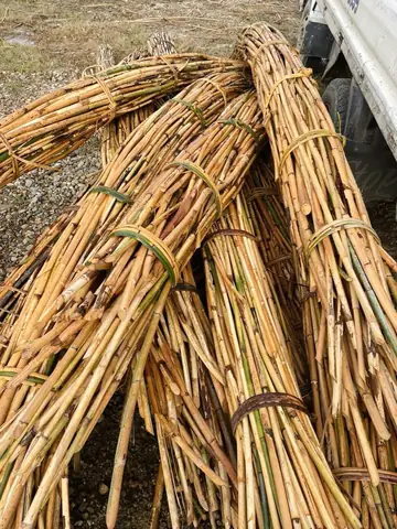 Các Loại Mây Tự Nhiên Các Loại Mây Tự Nhiên