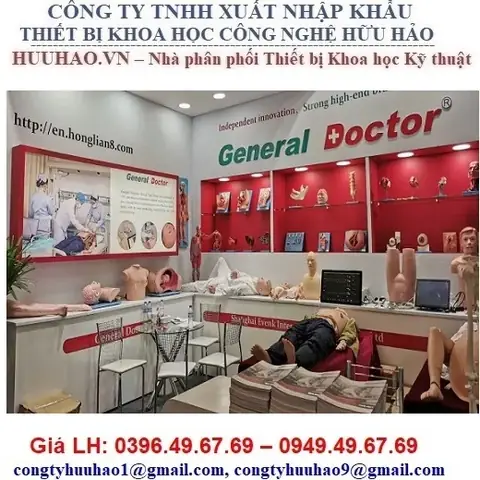 Môn Giải Phẫu Học Trong Thiết Kế Nội Thất: Ứng Dụng & Tầm Quan Trọng