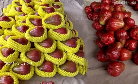 Mst Công Ty Tnhh Nội Thất Gỗ Phú Đỉnh: Thông Tin Chi Tiết Và Hướng Dẫn Tra Cứu