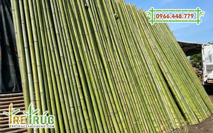 Địa Chỉ Bán Tre Khô Trang Trí Giá Rẻ Chất Lượng Uy Tín Tphcm