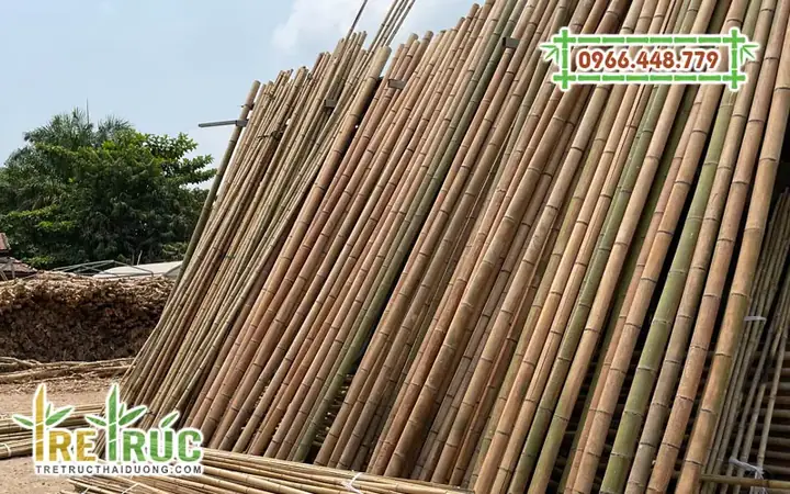 Giá Bán Tre Khô Trang Trí Hiện Nay Tại Tphcmbao Nhiêu Tiền?