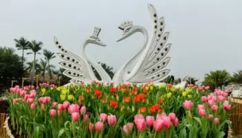 Nhà Cung Cấp Đồ Nội Thất Quanh Khu Vực Ecopark