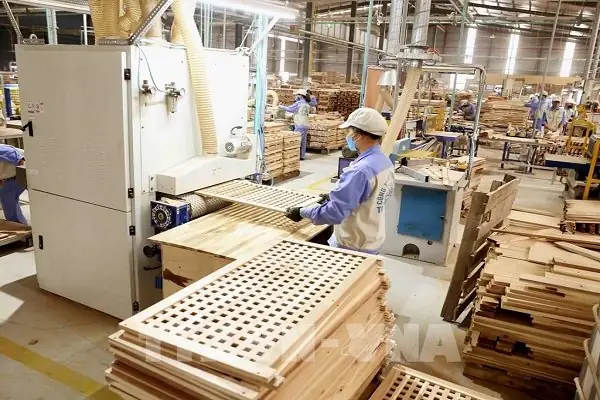 Ngành Gỗ Bình Định Thu Hút Nhiều Dự Án Đầu Tư