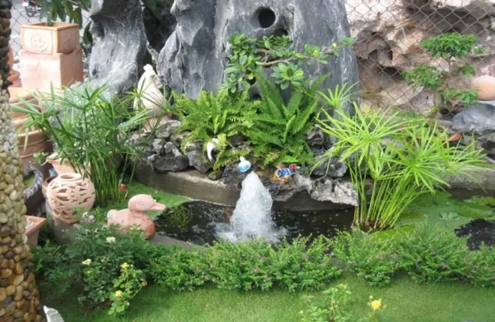 Thiết Kế Tiểu Cảnh, Sân Vườn