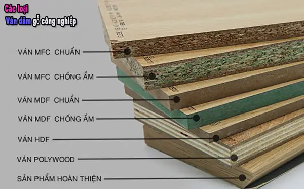 Chi Tiết Sản Phẩm