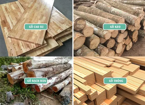 Chi Tiết Sản Phẩm