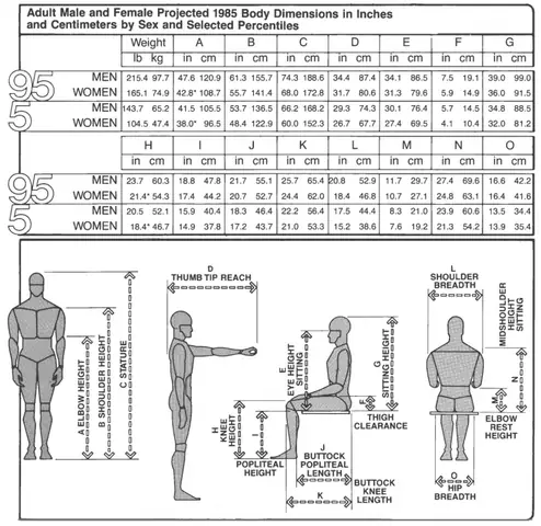 Nhân Trắc Học Đóng Vai Trò Quan Trọng Trong Thiết Kế Nội Thất Nhà Ở