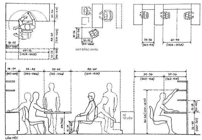 Các Số Liệu Nhân Trắc Học Của Người Việt