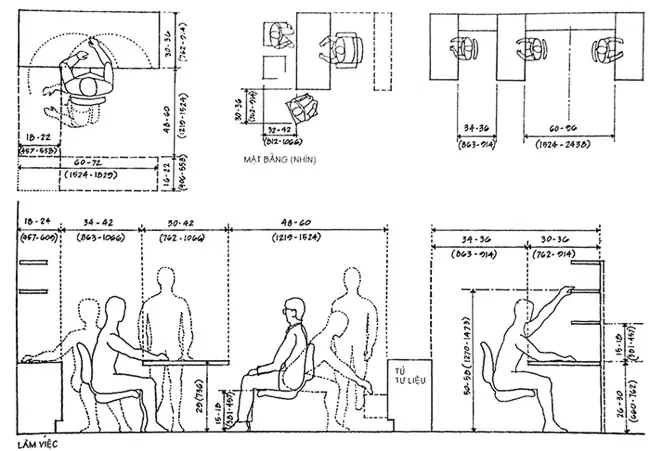 Nhân Trắc Học Trong Thiết Kế Nội Thất Là Gì? Có Những Loại Nào?