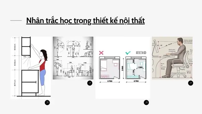 Nguyên Tắc Vàng Của Nhân Trắc Học Trong Thiết Kế Nội Thất