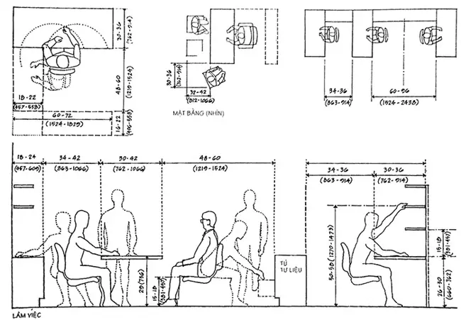 Nhân Trắc Học Trong Thiết Kế Nội Thất Là Gì? Có Những Loại Nào?