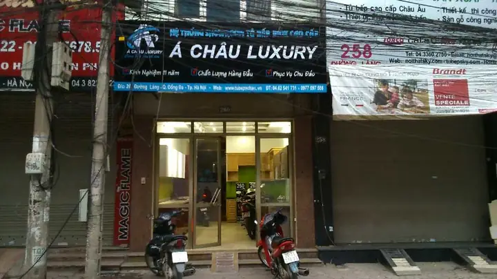 Lịch sử phát triển Lịch sử phát triển