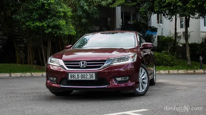 Tổng Quan Về Ngoại Hình