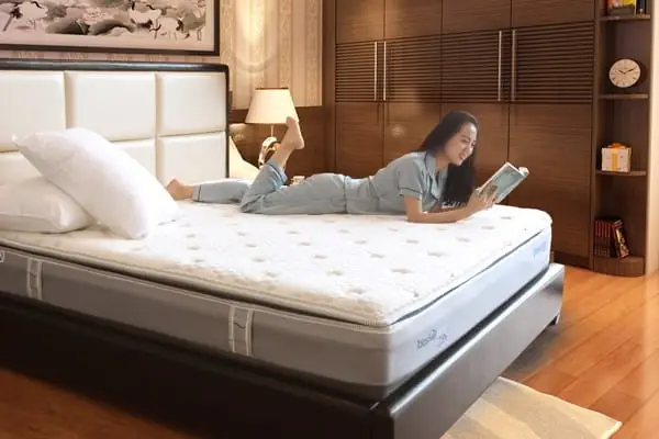 Dunlopillo – Sản Phẩm Đa Dạng – Đáp Ứng Mọi Nhu Cầu.