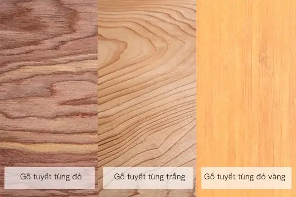 Gỗ Tuyết Tùng Là Gì?