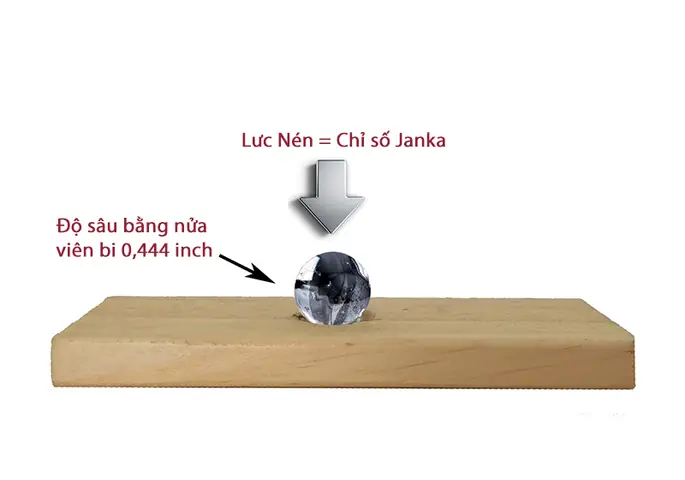 4. Đặc Tính Của Ván Tre Ép