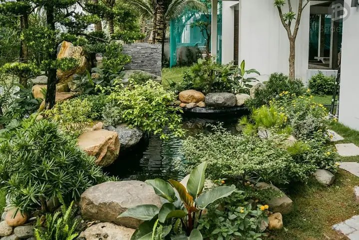Lựa Chọn Các Loại Cây Phù Hợp Với Môi Trường Sống Lựa Chọn Các Loại Cây Phù Hợp Với Môi Trường Sống