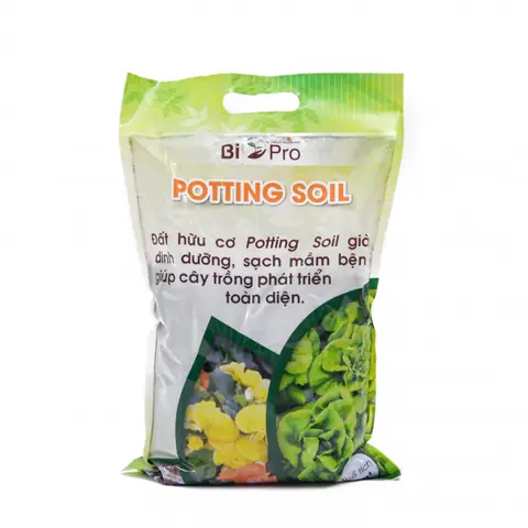 Chậu Cây Nguyệt Quế 040