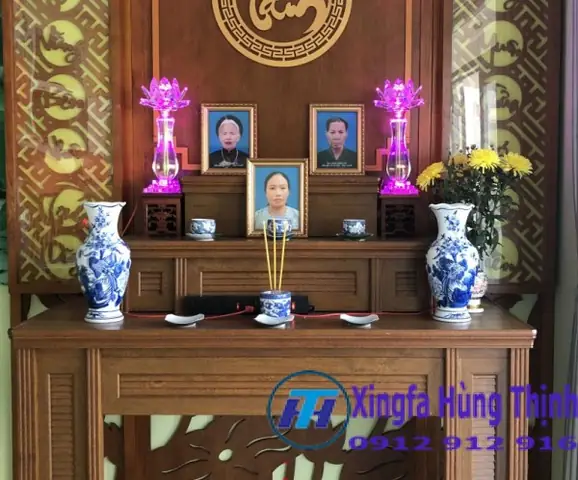 Mẫu Mã, Màu Sắc, Thiết Kế Đa Dạng