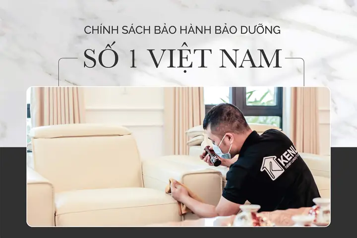 Nội Thất Cebe Việt Nam
