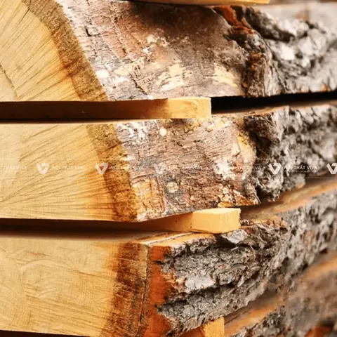 Đánh Giá Nội Thất