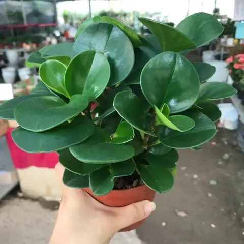 Nội Thất Chung Thủytrường Chinh Facebook