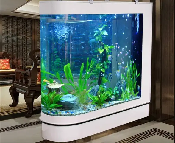 3.4. Phong Cách Địa Trung Hải